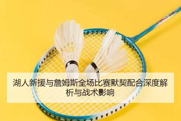湖人新援与詹姆斯全场比赛默契配合深度解析与战术影响